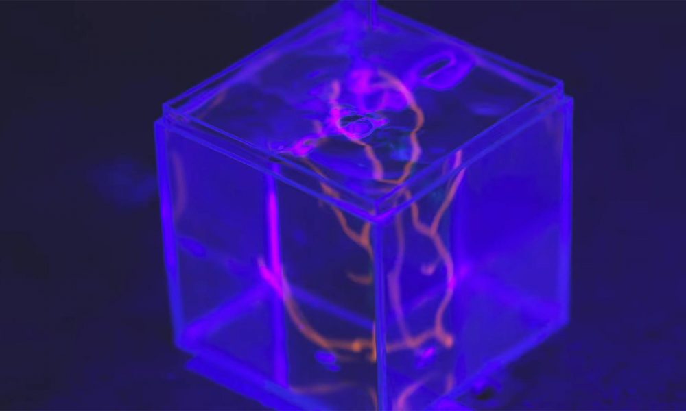 3D Printed Heart