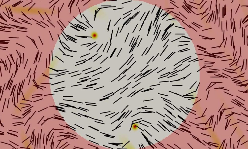 Liquid Crystals Could Perform Computations